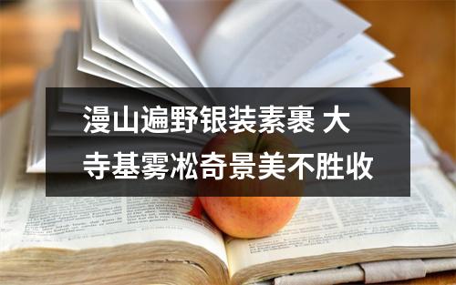 漫山遍野银装素裹 大寺基雾凇奇景美不胜收