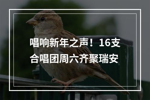 唱响新年之声！16支合唱团周六齐聚瑞安