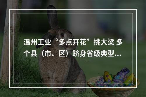 温州工业“多点开花”挑大梁 多个县（市、区）跻身省级典型案例