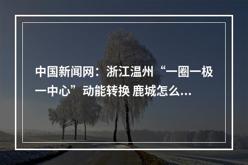中国新闻网：浙江温州“一圈一极一中心”动能转换 鹿城怎么做？