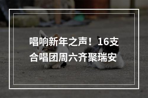 唱响新年之声！16支合唱团周六齐聚瑞安