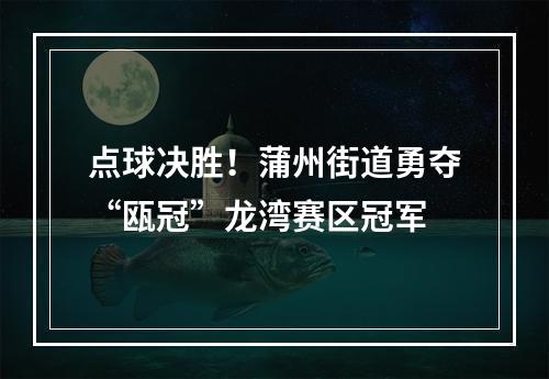 点球决胜！蒲州街道勇夺“瓯冠”龙湾赛区冠军
