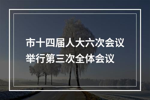 市十四届人大六次会议举行第三次全体会议