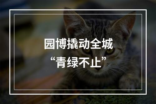 园博撬动全城“青绿不止”