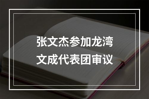 张文杰参加龙湾文成代表团审议