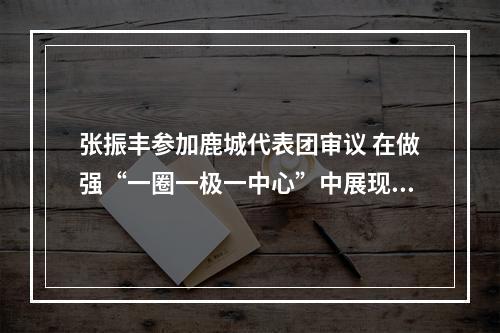 张振丰参加鹿城代表团审议 在做强“一圈一极一中心”中展现鹿城担当