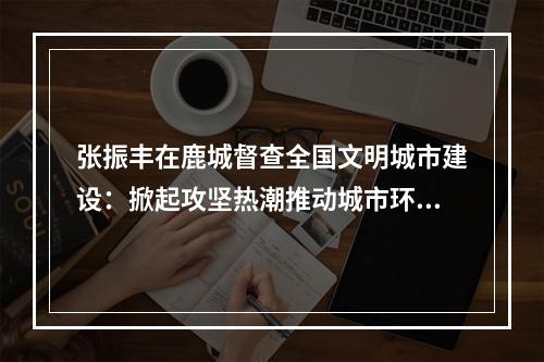 张振丰在鹿城督查全国文明城市建设：掀起攻坚热潮推动城市环境美丽蝶变