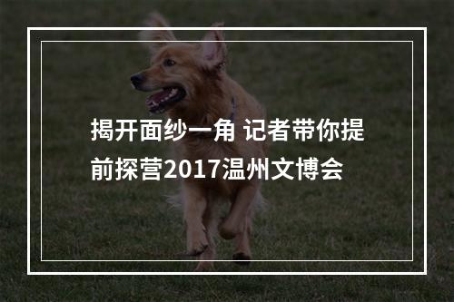 揭开面纱一角 记者带你提前探营2017温州文博会