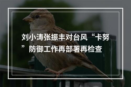 刘小涛张振丰对台风“卡努”防御工作再部署再检查