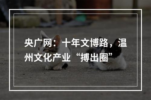 央广网：十年文博路，温州文化产业“搏出圈”