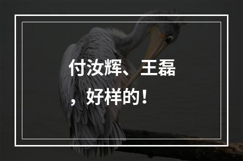 付汝辉、王磊，好样的！