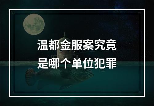 温都金服案究竟是哪个单位犯罪