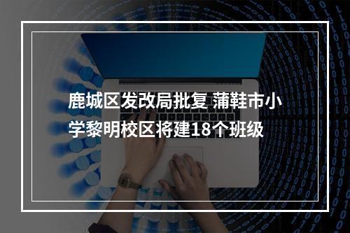 鹿城区发改局批复 蒲鞋市小学黎明校区将建18个班级