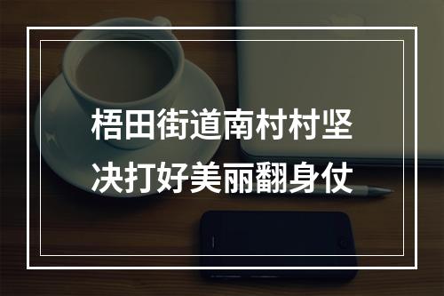 梧田街道南村村坚决打好美丽翻身仗