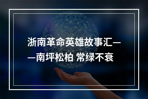 浙南革命英雄故事汇——南坪松柏 常绿不衰