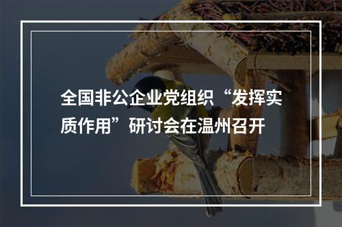 全国非公企业党组织“发挥实质作用”研讨会在温州召开