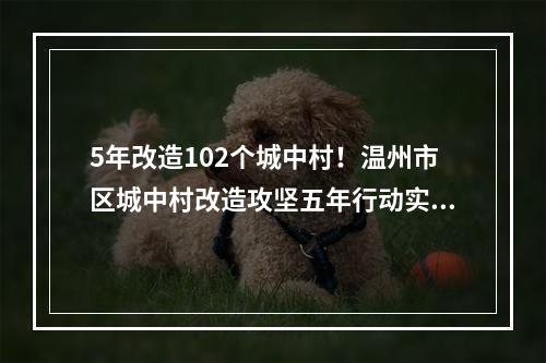 5年改造102个城中村！温州市区城中村改造攻坚五年行动实施方案发布