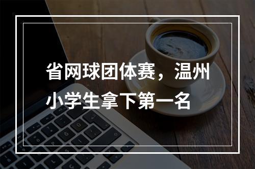 省网球团体赛，温州小学生拿下第一名