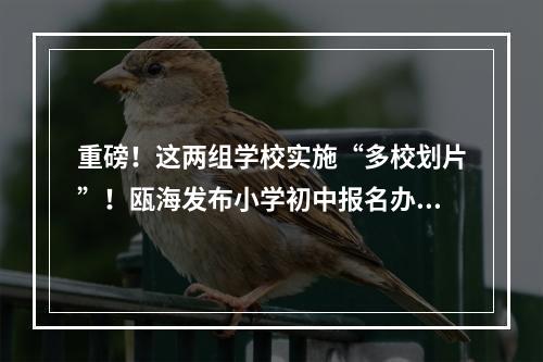 重磅！这两组学校实施“多校划片”！瓯海发布小学初中报名办法
