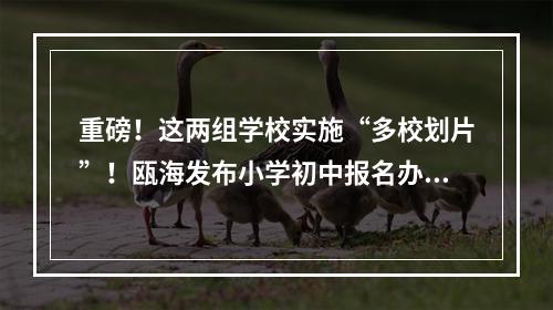 重磅！这两组学校实施“多校划片”！瓯海发布小学初中报名办法