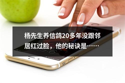 杨先生养信鸽20多年没跟邻居红过脸，他的秘诀是……