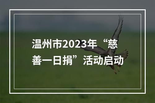 温州市2023年“慈善一日捐”活动启动