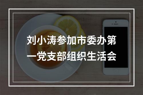 刘小涛参加市委办第一党支部组织生活会