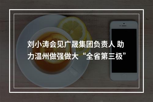 刘小涛会见广晟集团负责人 助力温州做强做大“全省第三极”