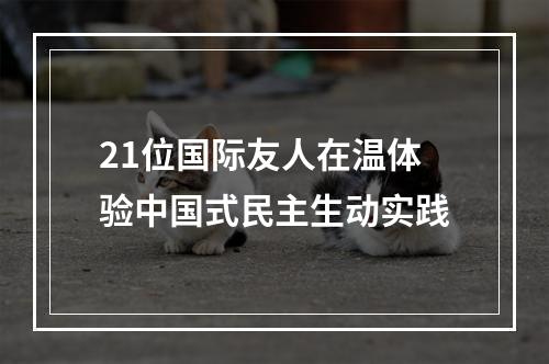 21位国际友人在温体验中国式民主生动实践