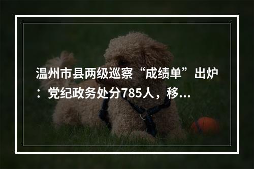 温州市县两级巡察“成绩单”出炉：党纪政务处分785人，移送司法机关124人