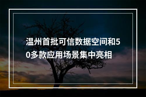 温州首批可信数据空间和50多款应用场景集中亮相