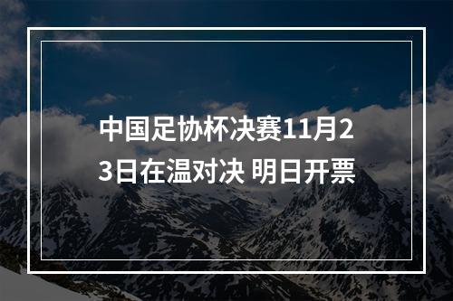 中国足协杯决赛11月23日在温对决 明日开票