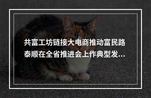 共富工坊链接大电商推动富民路 泰顺在全省推进会上作典型发言