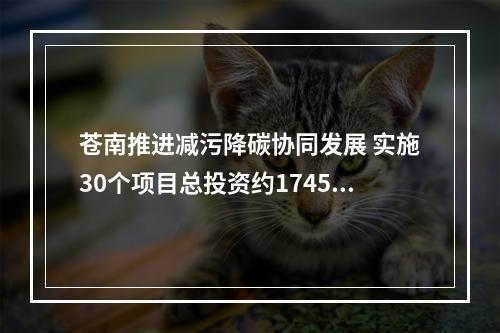 苍南推进减污降碳协同发展 实施30个项目总投资约1745亿元