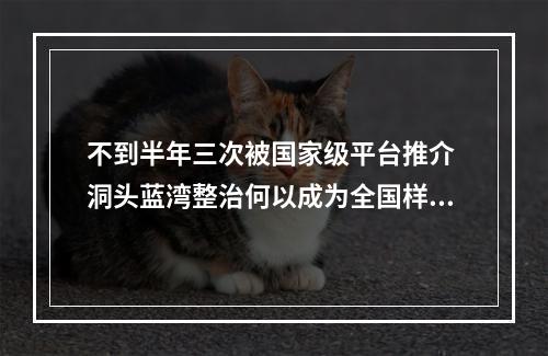 不到半年三次被国家级平台推介 洞头蓝湾整治何以成为全国样板