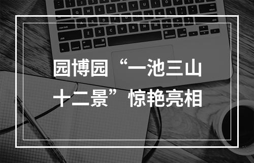 园博园“一池三山十二景”惊艳亮相