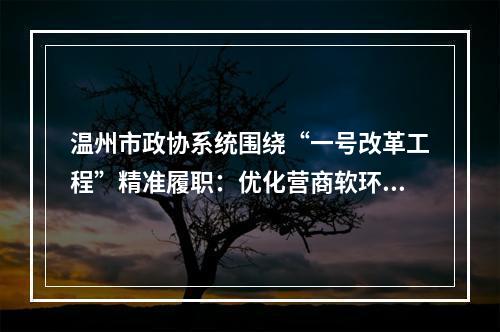 温州市政协系统围绕“一号改革工程”精准履职：优化营商软环境 拼出发展硬实力