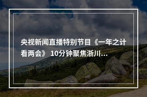 央视新闻直播特别节目《一年之计看两会》 10分钟聚焦浙川文化产业园