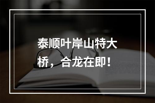 泰顺叶岸山特大桥，合龙在即！