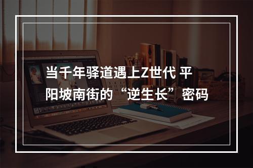 当千年驿道遇上Z世代 平阳坡南街的“逆生长”密码