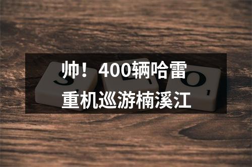 帅！400辆哈雷重机巡游楠溪江