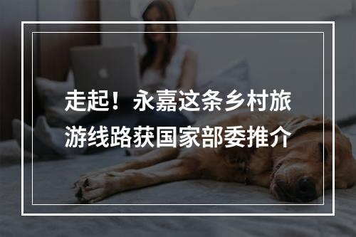 走起！永嘉这条乡村旅游线路获国家部委推介