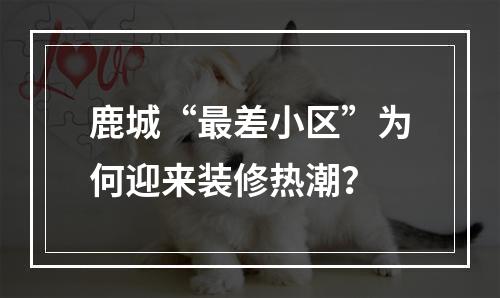 鹿城“最差小区”为何迎来装修热潮？