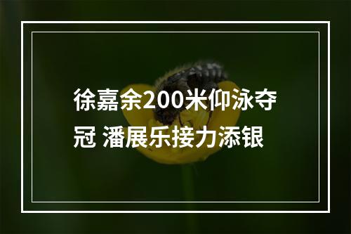 徐嘉余200米仰泳夺冠 潘展乐接力添银