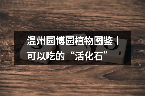 温州园博园植物图鉴丨可以吃的“活化石”