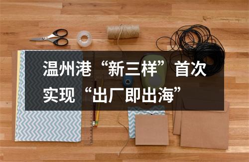 温州港“新三样”首次实现“出厂即出海”