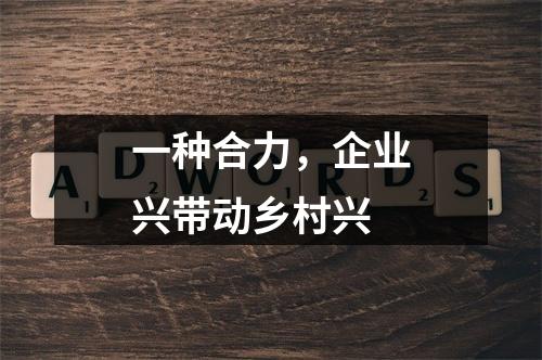一种合力，企业兴带动乡村兴