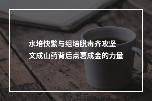 水培快繁与组培脱毒齐攻坚 文成山药背后点薯成金的力量