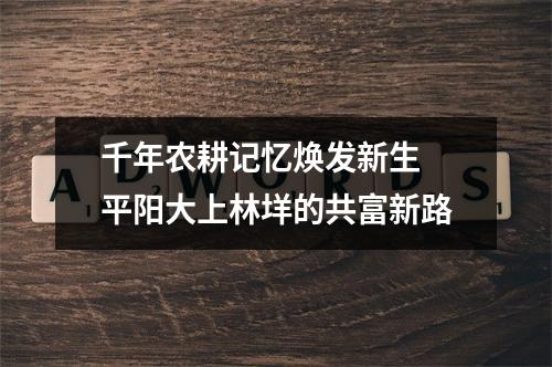 千年农耕记忆焕发新生 平阳大上林垟的共富新路