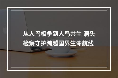 从人鸟相争到人鸟共生 洞头检察守护跨越国界生命航线